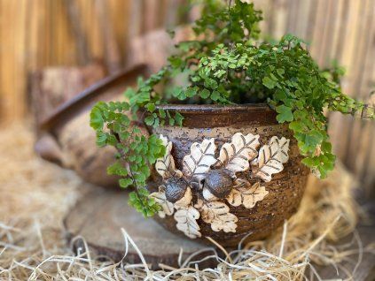 vyrp11 189obal s ousky DP c 2 3