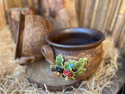 vyr 187 obal c 2 houby 1