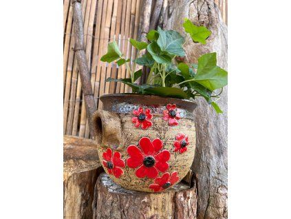 vyrp12 184obal c 2 s maky 4