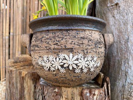 vyr 182 obal c 2 rozkvetly 1