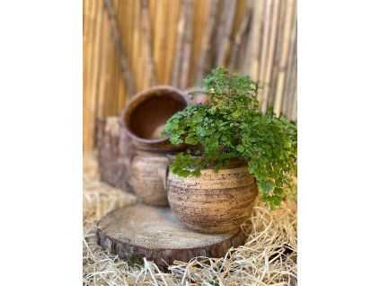 vyrp11 96obal s ousky c 1 2