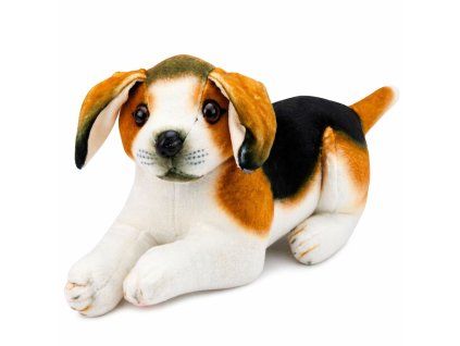 Plyšový beagle 25cm – realistický