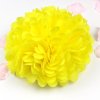 zluty pom pom