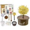 eng pl Magic Tree Growing Crystals Gold Experiences 15698 1