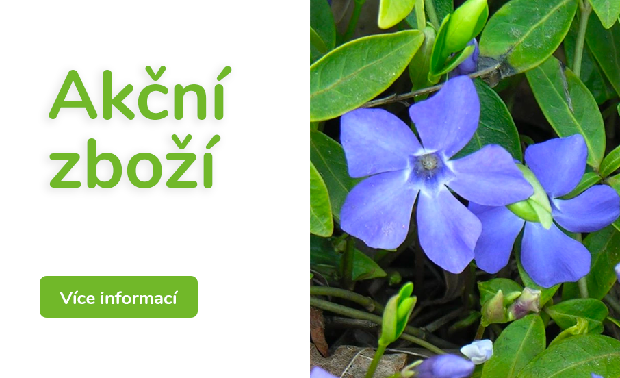 Akční Zboží