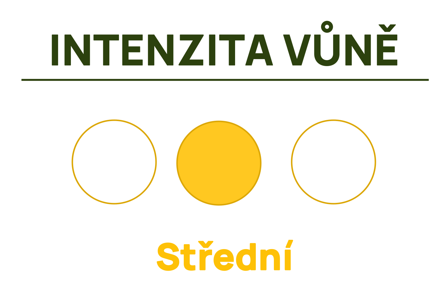 střední