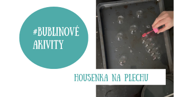 Housenka na plechu