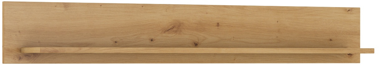 Panel