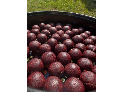 Boilie-Dracula limited 24mm