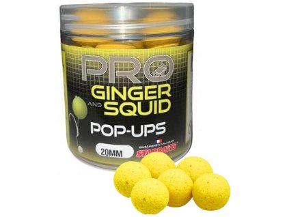 Pop-up GINGER SQUID 14mm 80g