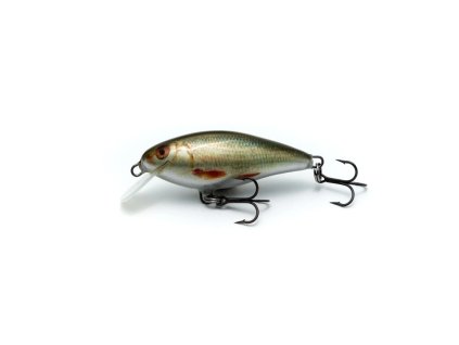 3STAN FATTY LITE FL50 H-R - holographic roach