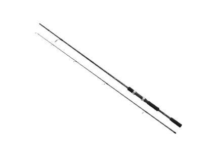 FX XT spining EVA 2,40m 10-30g