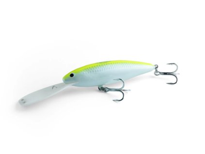 3STAN FATTY F105SDR SBA - sulfur back albino