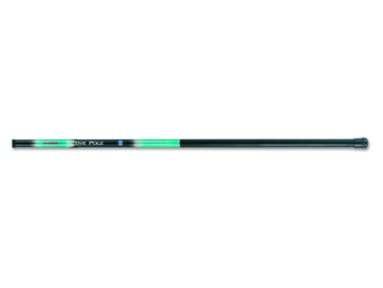 Bič ACTIVE pole 3m 5-25g