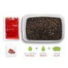 Delphin Pellet box Ready&Go 400g + 120ml LOSOS RAK