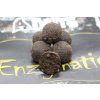 Boilies ENZYMATIC 24mm 1kg SQUID