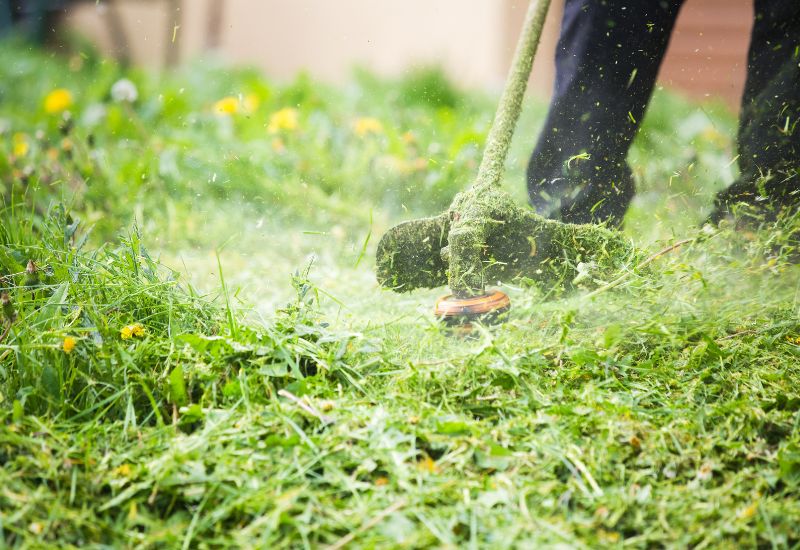 Jak správně sekat s žací strunou
