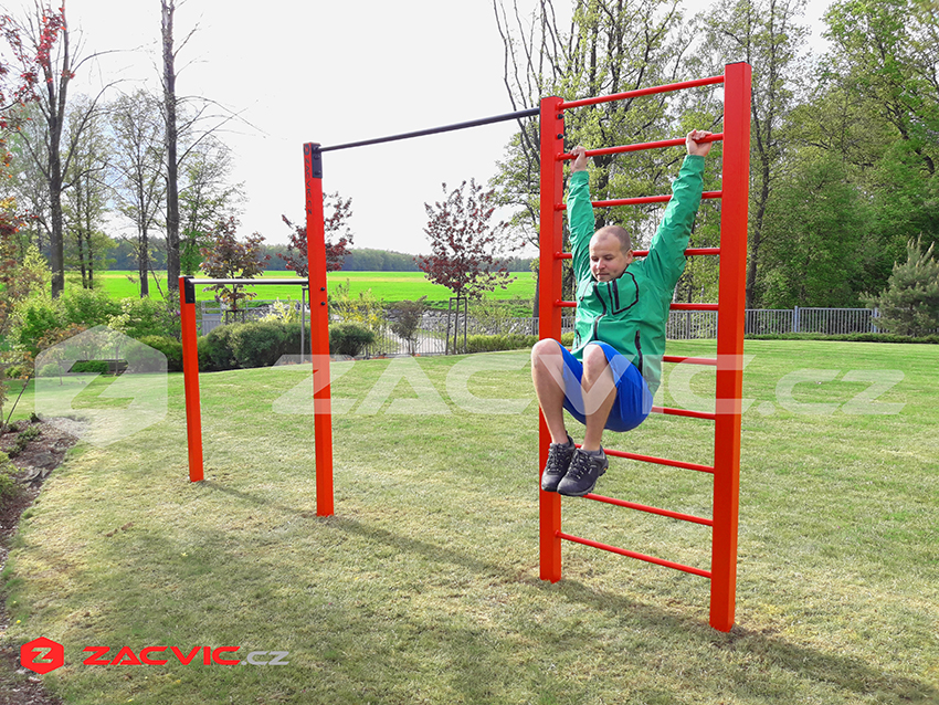 Street workout v jiných zemích