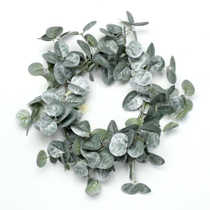 AKCIA ! VENIEC EUCALYPTUS 42CM
