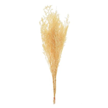 LIMONKA SUŠINA BIELA