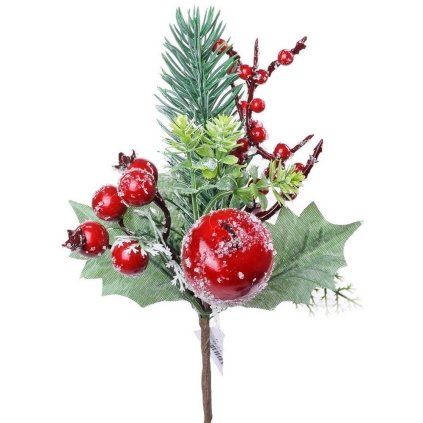 ZÁPICH ČERV JABĹČKO,ŠÍPKY