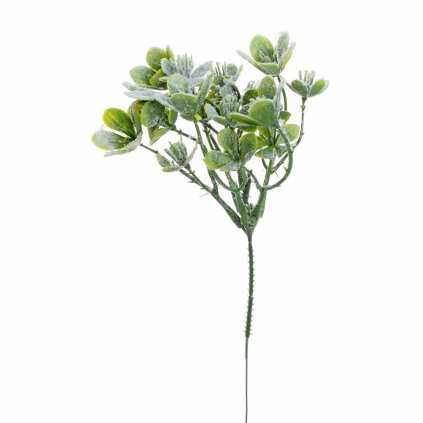 VIAN. ZASNEŽ. ZELEŇ ĎATELINA 25CM