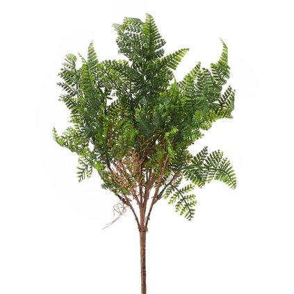 ZELEŇ PAPRAĎ ZELENÁ 42CM