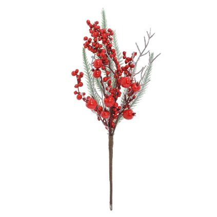 ZÁPICH ČERVENÉ ŠÍPKY, SIVÝ KONÁR, ČEČINA 38CM