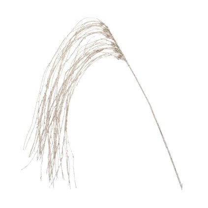 KONÁR VŔBA PREVISLÁ ŠAMPÁŇ 110CM