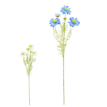 KS SCABIOSA, ZELEŇ MIX/2F 58CM