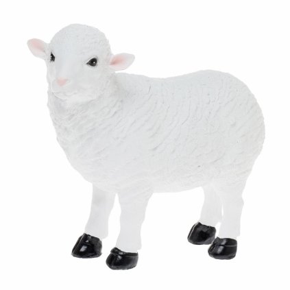 OVCA POLY 17CM BIELA