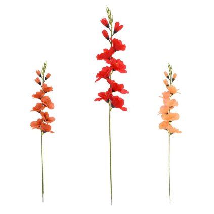KS GLADIOLA, MIX/3F 69CM