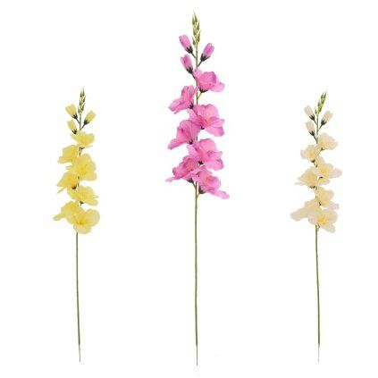 KS GLADIOLA, MIX/3F 69CM