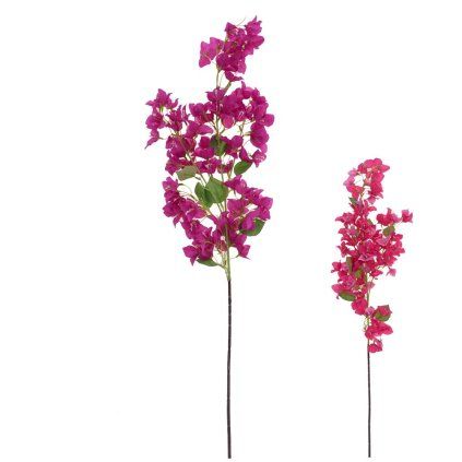 KONÁR BUGENVILEA MIX/2F 110CM