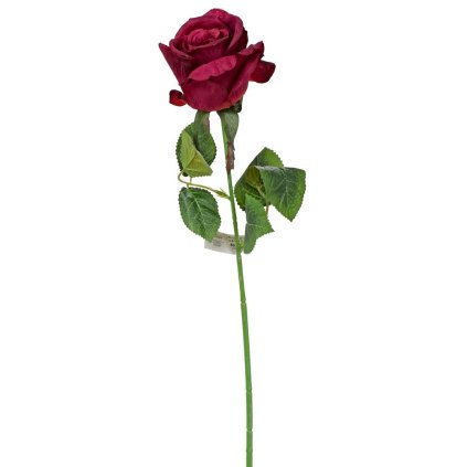 KS RUŽA BORDO 45cm