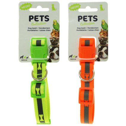 OBOUJEK NEON BARVA - medium