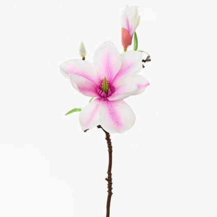 KONÁŘ MAGNOLIE BÍLO-RŮŽOVÁ 36CM