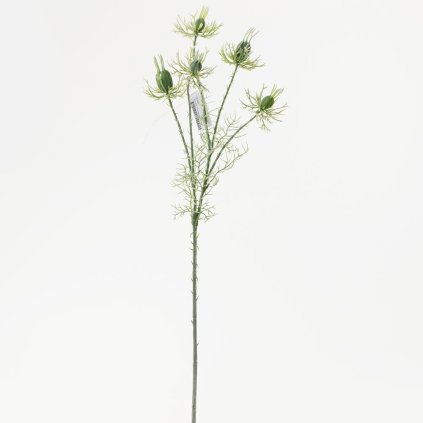 KONÁŘ NIGELLA BL.ZELENÁ 60CM