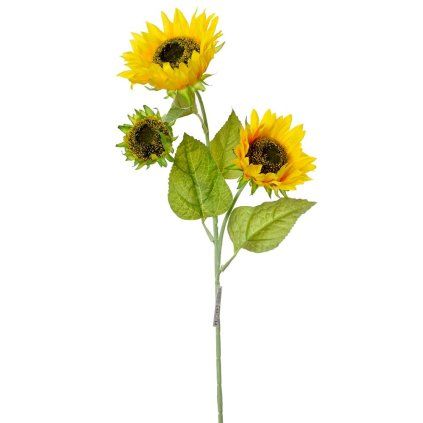 AKCE! KS SLUNEČNICE 91cm