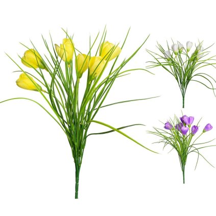 KYTICA CROCUS 3F 39cm