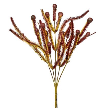 ZÁPICH BRUNIA PODZIMNÍ 34CM