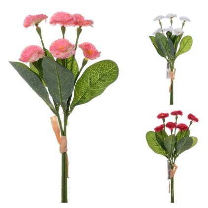 KYTICA BELLIS,ZELEN 3F 31cm