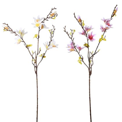 KONÁŘ MAGNOLIE, LISTY 2F 86CM