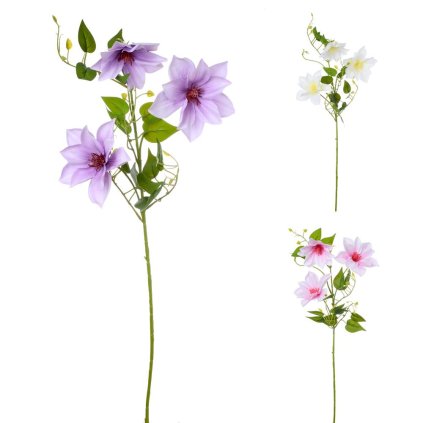 CLEMATIS 3-KVĚTINY, LISTY 3F 72CM