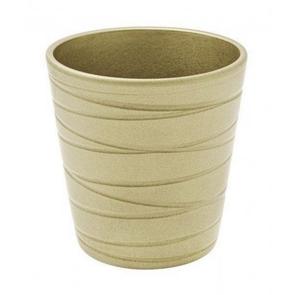 AKCIA OBAL ORCHIDEA šampaň/trbl. V.14/pr.13cm /KE7-D130-CHA