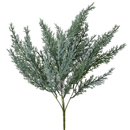 ZÁPICH THUJA STRIEBRISTÁ 38CM