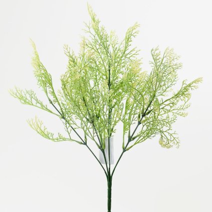 ZÁPICH THUJA BIELE KONCE 36CM