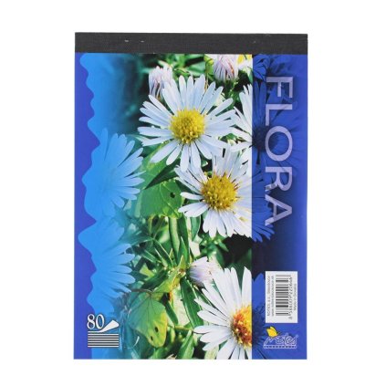 pevná cena Blok A5 15080/4b čistý