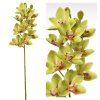 KUSOVKA ORCHIDEA CYMBIDIUM ZELENÉ 74CM