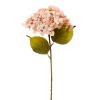 KS HYDRANGEA BL.ORANŽOVÁ, ZELEŇ 33CM